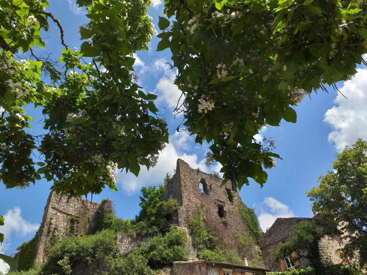 Les Pentes Du Chateau De Retourtour Lamastre Εξωτερικό φωτογραφία